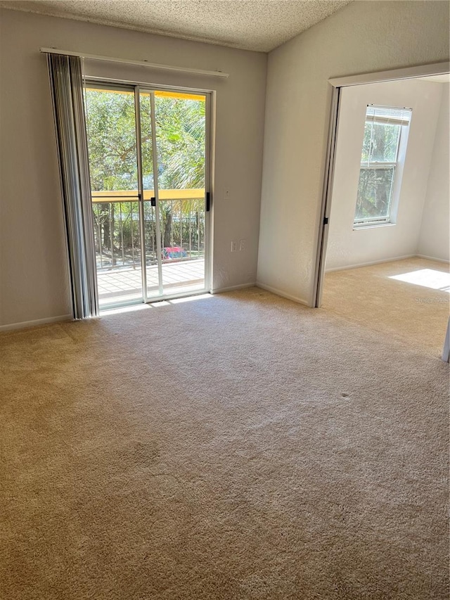 5291 Images Cir Unit 301, Kissimmee, FL 34746 - spare room with carpet flooring, plenty of natural light, and a textured ceiling
