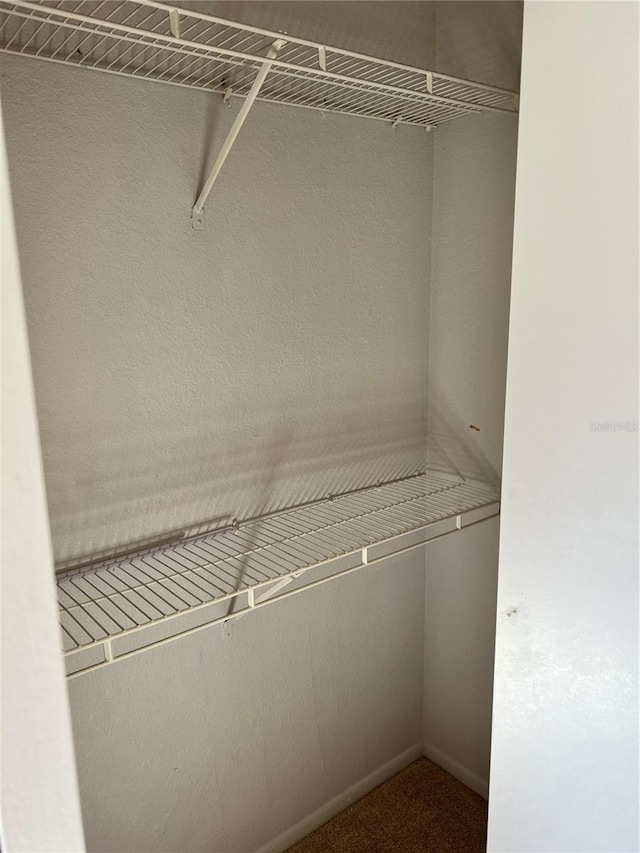 5291 Images Cir Unit 301, Kissimmee, FL 34746 - view of closet