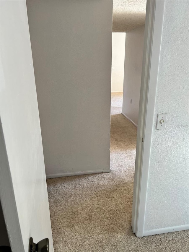 5291 Images Cir Unit 301, Kissimmee, FL 34746 - corridor with carpet floors and a textured wall