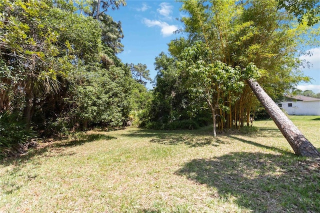 4806 Gallant Ln, Orlando, FL 32821 - photo 16