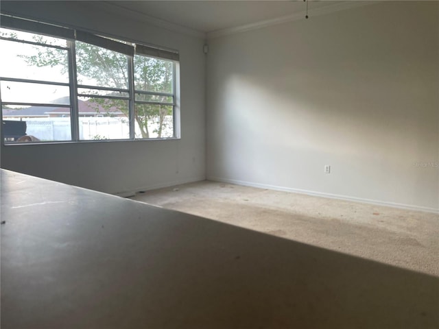 carpeted empty room with crown molding and baseboards