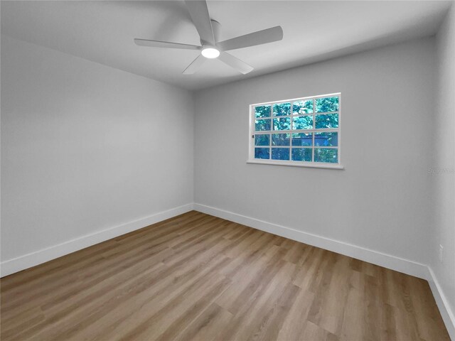 3410 Grove Street Cir, Tampa, FL 33610 - photo 5