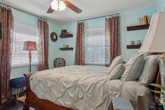 3404 W Villa Rosa St, Tampa, FL 33611 - photo 12