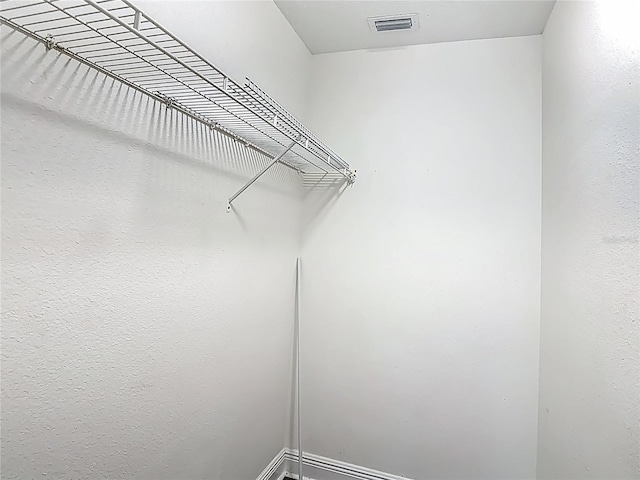 3234 Amberley Park Cir, Kissimmee, FL 34743 - view of spacious closet