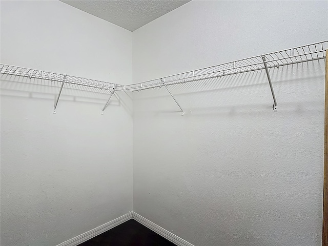 3234 Amberley Park Cir, Kissimmee, FL 34743 - view of walk in closet