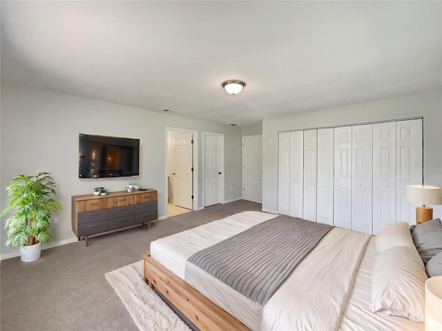 10350 SW 62nd Terrace Rd, Ocala, FL 34476 - bedroom featuring baseboards, light carpet, and a closet