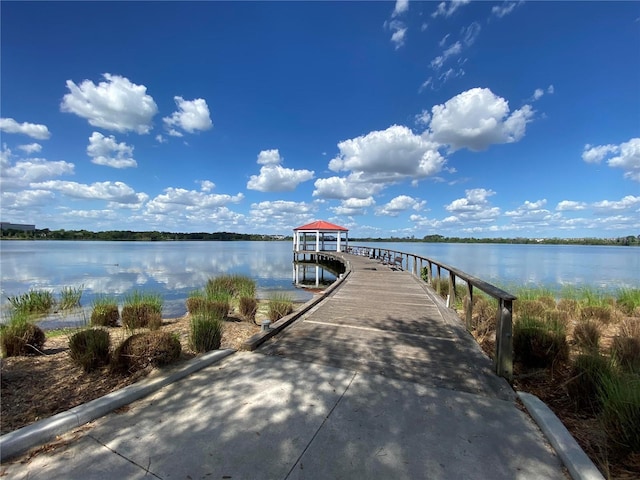 dock area with a water view