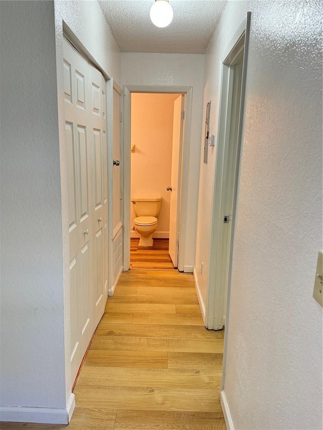 1825 Foxhall Cir Unit 1825, Kissimmee, FL 34741 - hall with light wood finished floors, a textured wall, baseboards, and a textured ceiling