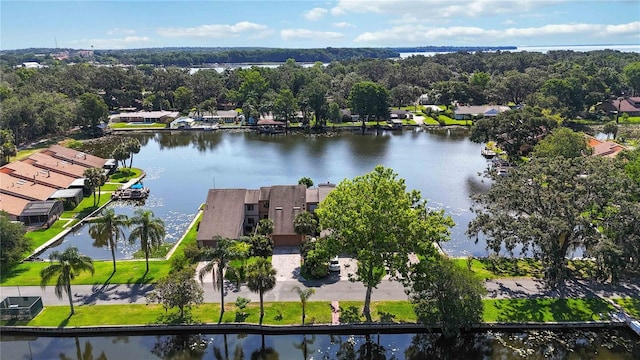 1085 Island Way, Leesburg, FL 34748 - photo 31