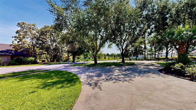 100 Demens St, Oakland, FL 34760 - photo 36