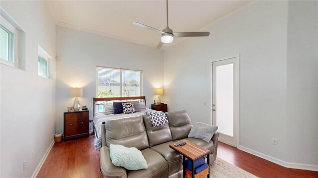 100 Demens St, Oakland, FL 34760 - photo 51