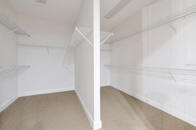 3844 Bowfin Trl, Kissimmee, FL 34746 - spacious closet with carpet flooring