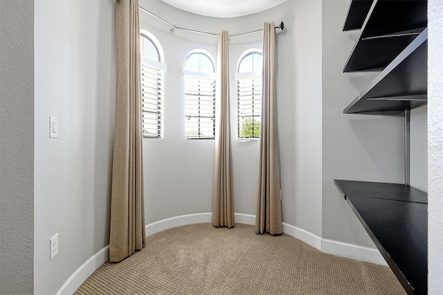 3844 Bowfin Trl, Kissimmee, FL 34746 - spacious closet featuring light colored carpet