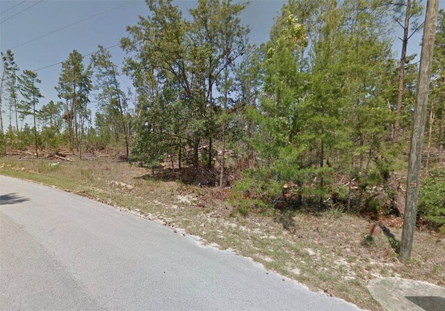 55 Grass St, Homosassa, FL 34446 - photo 5