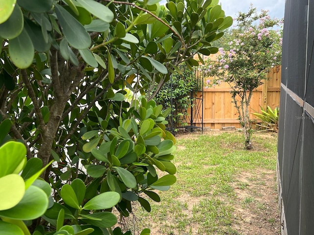 340 Haversham Way, Davenport, FL 33897 - view of yard