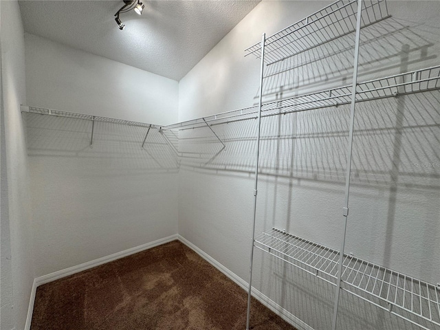 703 Tartan Loop, Lake Wales, FL 33853 - spacious closet with carpet flooring