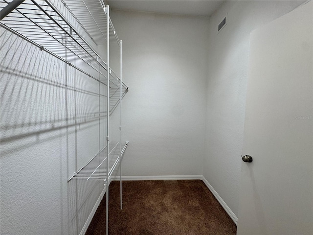 703 Tartan Loop, Lake Wales, FL 33853 - walk in closet with carpet flooring