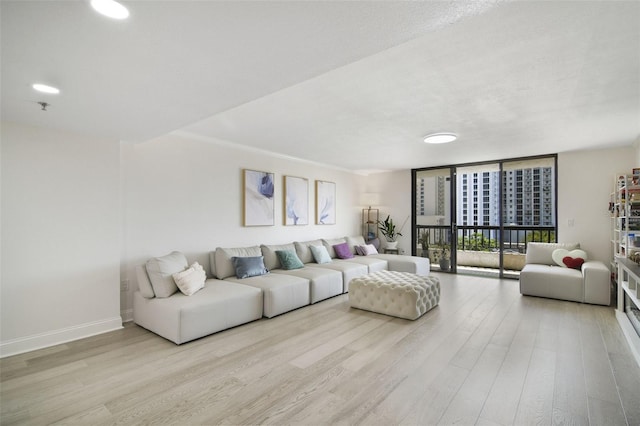 530 E Central Blvd Unit 803, Orlando, FL 32801 - living room featuring wood finished floors, expansive windows, and baseboards