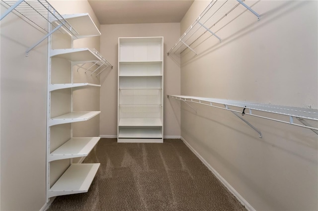 1201 Shelter Rock Rd, Orlando, FL 32835 - walk in closet with carpet