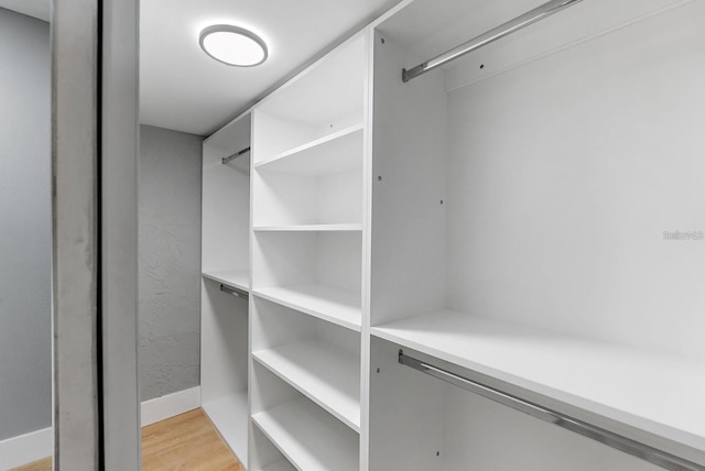 3926 Helena St NE, Saint Petersburg, FL 33703 - walk in closet featuring light wood finished floors