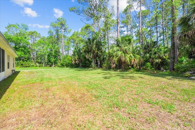 45 Powder Horn Dr, Palm Coast, FL 32164 - view of grassy yard