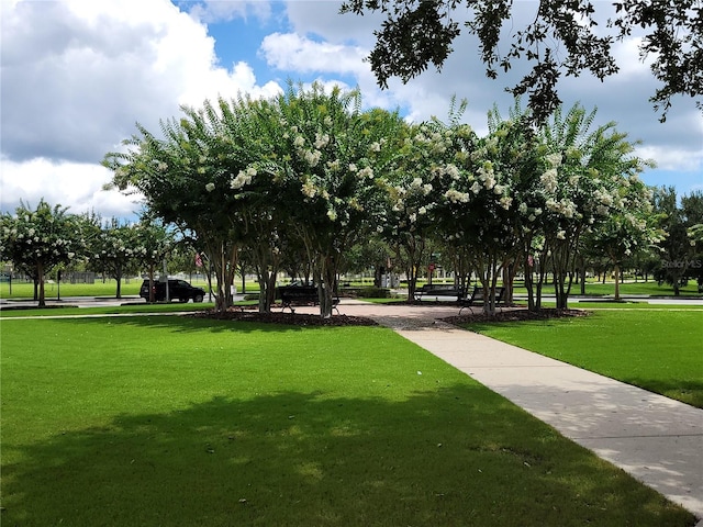 view of community with a yard