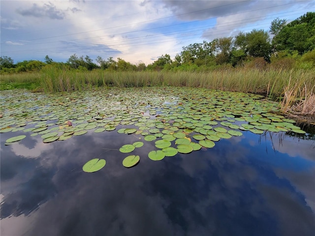 water view