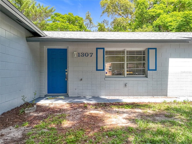 1307 Jean Ct, Eustis, FL 32726 - entrance to property with concrete block siding