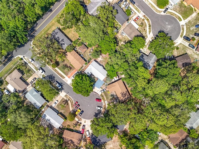 1307 Jean Ct, Eustis, FL 32726 - aerial view of property and surrounding area
