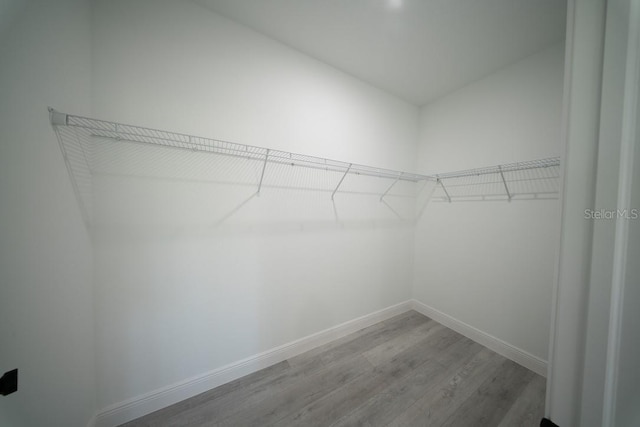 13419 SW 77th Ave, Ocala, FL 34473 - walk in closet featuring wood finished floors