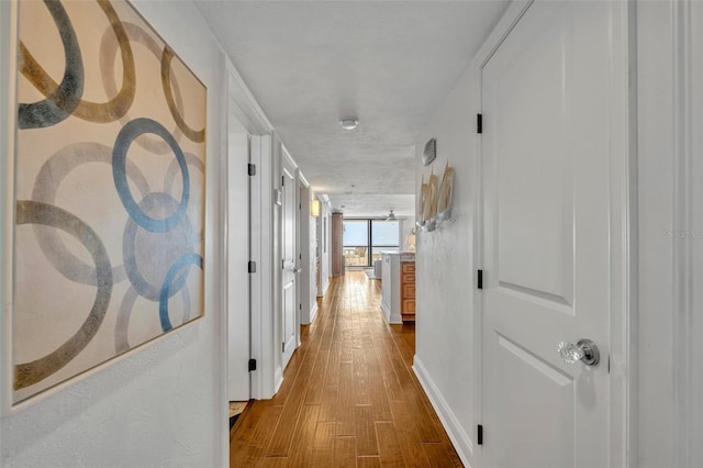 5275 S Atlantic Ave Unit 506, New Smyrna Beach, FL 32169 - hall featuring hardwood / wood-style floors and baseboards