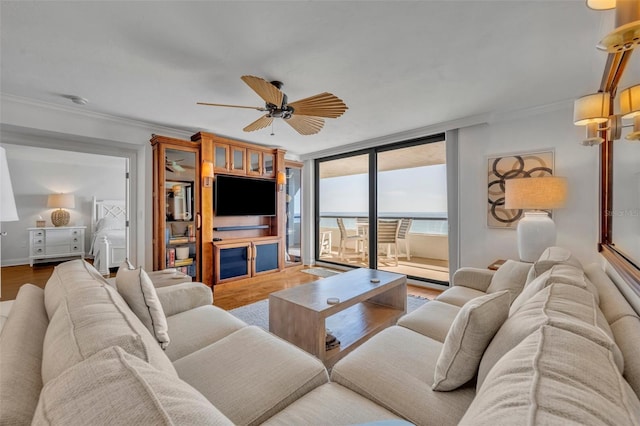 5275 S Atlantic Ave Unit 506, New Smyrna Beach, FL 32169 - living area featuring crown molding, wood finished floors, a ceiling fan, and baseboards