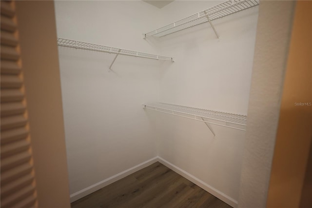 4704 Walden Cir Unit 21, Orlando, FL 32811 - walk in closet with dark wood-style floors