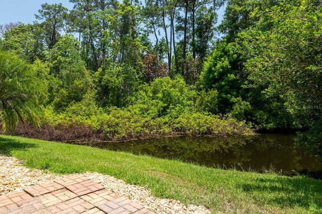 334 N Shadowbay Blvd, Longwood, FL 32779 - view of yard