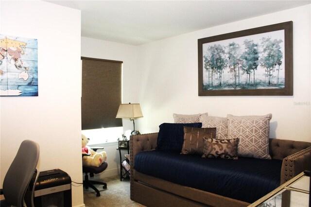 5897 Soter Ln, Windermere, FL 34786 - living area with carpet flooring