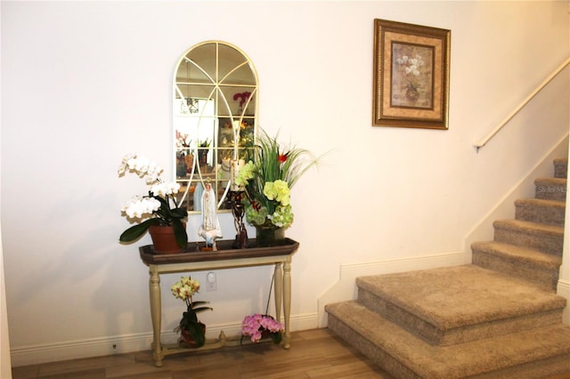 5897 Soter Ln, Windermere, FL 34786 - staircase with wood finished floors and baseboards