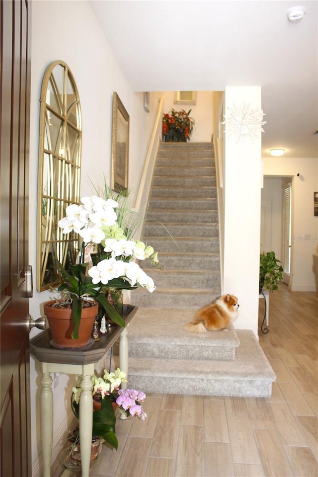 5897 Soter Ln, Windermere, FL 34786 - staircase with wood finished floors
