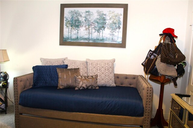 5897 Soter Ln, Windermere, FL 34786 - view of bedroom