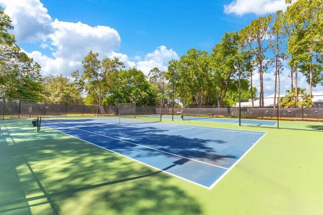 8812 S Bay Dr, Orlando, FL 32819 - photo 40