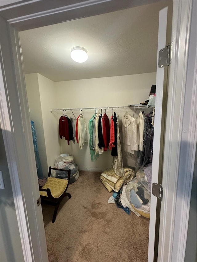 8171 Gopher Tortoise Trl, Lehigh Acres, FL 33974 - spacious closet featuring carpet