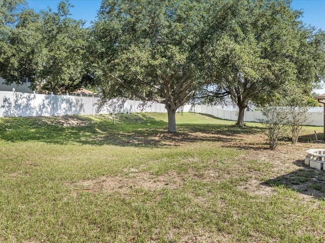 10247 Mason Loop, Clermont, FL 34711 - view of yard