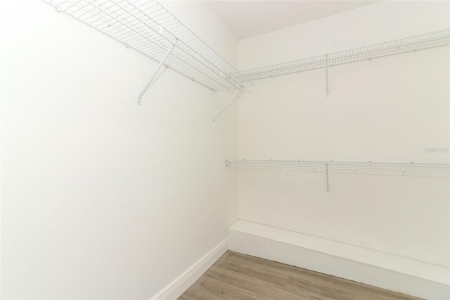 1204 Duncan Ct, Longwood, FL 32779 - spacious closet featuring light wood-style flooring