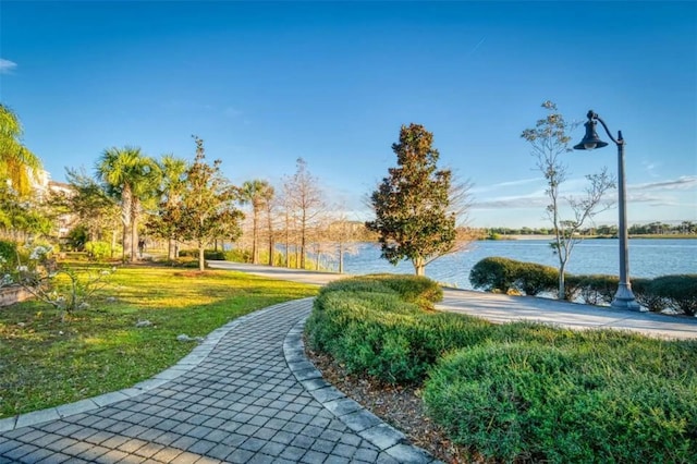 4013 Breakview Dr Unit A407, Orlando, FL 32819 - surrounding community with a lawn and a water view