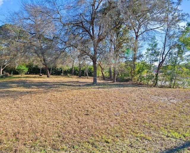 11188 Sheffield Rd, Spring Hill, FL 34608 - photo 5