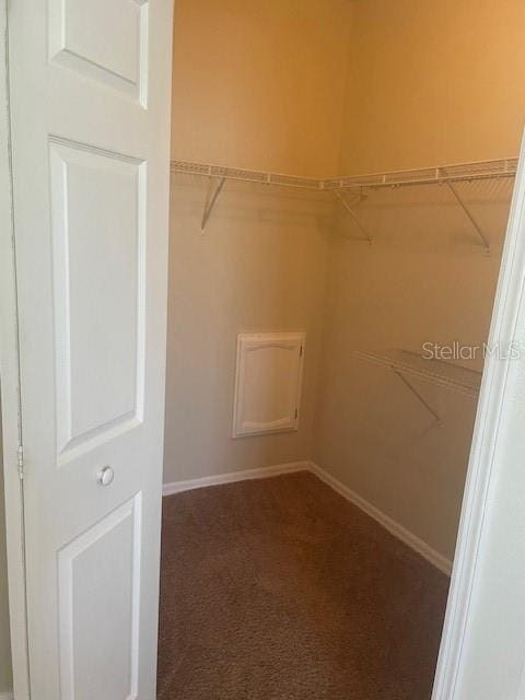 417 Southern Pecan Cir Unit 201, Winter Garden, FL 34787 - walk in closet featuring carpet flooring