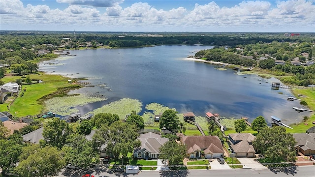 aerial view of residential area featuring a large body of water