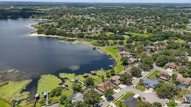 bird's eye view of a large body of water