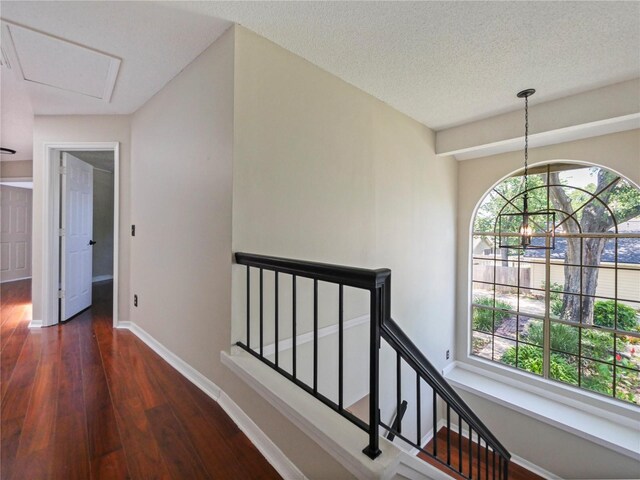 208 Frinton Cv, Longwood, FL 32779 - corridor with dark wood finished floors, baseboards, and an upstairs landing