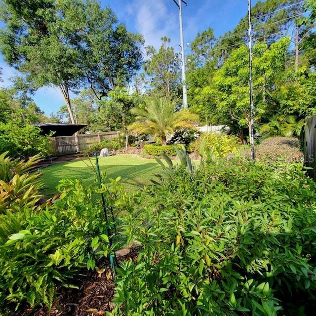 208 Frinton Cv, Longwood, FL 32779 - view of yard