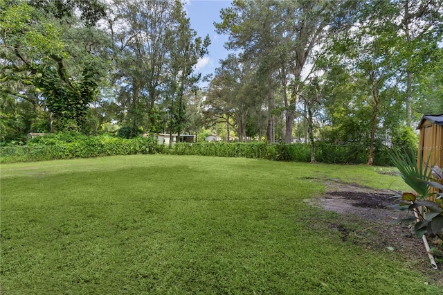 20099 Oakdale Ave, Brooksville, FL 34601 - photo 29